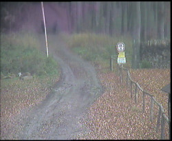 Nástup na běžecké tratě