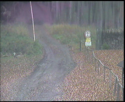 Nástup na běžecké tratě