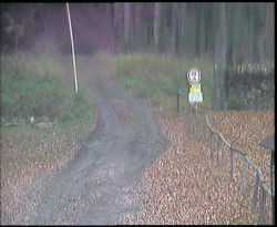 Nástup na běžecké tratě