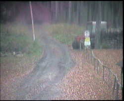 Nástup na běžecké tratě