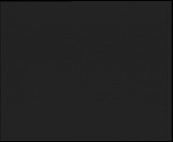 Nástup na běžecké tratě