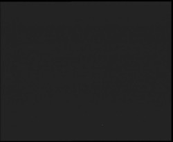 Nástup na běžecké tratě