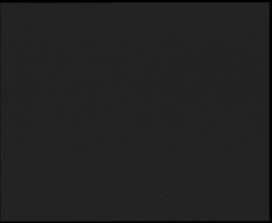 Nástup na běžecké tratě