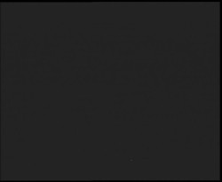 Nástup na běžecké tratě