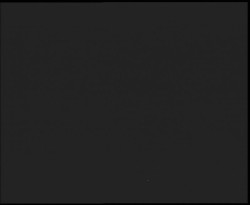 Nástup na běžecké tratě