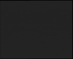 Nástup na běžecké tratě