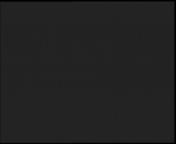 Nástup na běžecké tratě