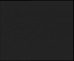 Nástup na běžecké tratě