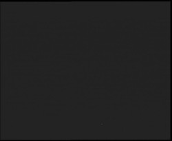 Nástup na běžecké tratě