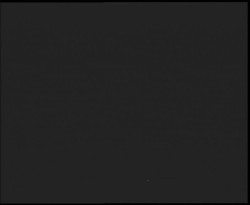 Nástup na běžecké tratě