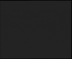 Nástup na běžecké tratě