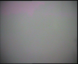 Nástup na běžecké tratě