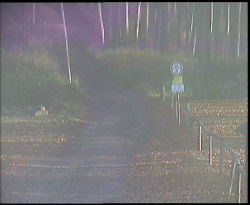 Nástup na běžecké tratě