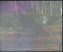 Nástup na běžecké tratě