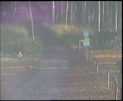 Nástup na běžecké tratě