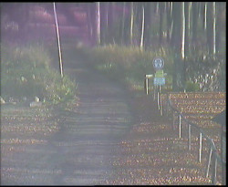 Nástup na běžecké tratě