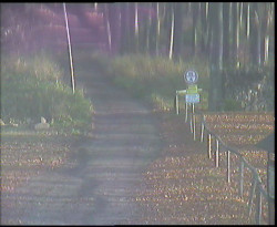 Nástup na běžecké tratě