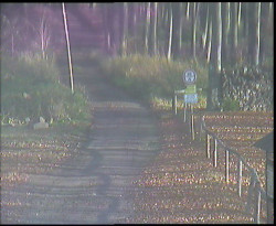 Nástup na běžecké tratě