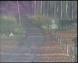 Nástup na běžecké tratě