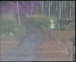 Nástup na běžecké tratě