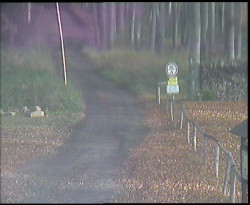 Nástup na běžecké tratě