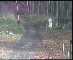 Nástup na běžecké tratě