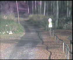 Nástup na běžecké tratě