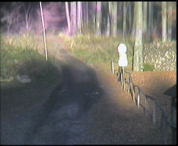 Nástup na běžecké tratě