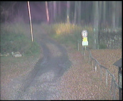 Nástup na běžecké tratě