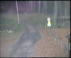 Nástup na běžecké tratě