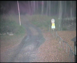 Nástup na běžecké tratě