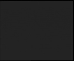 Nástup na běžecké tratě