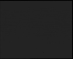 Nástup na běžecké tratě