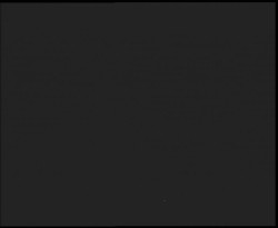 Nástup na běžecké tratě