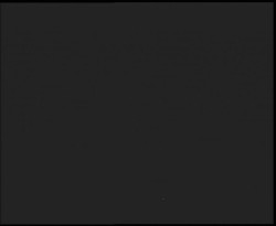 Nástup na běžecké tratě