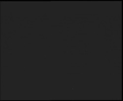 Nástup na běžecké tratě