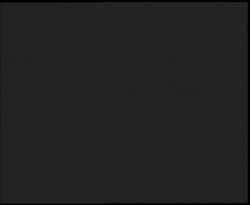 Nástup na běžecké tratě