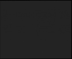 Nástup na běžecké tratě