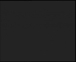 Nástup na běžecké tratě