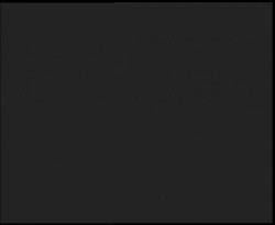 Nástup na běžecké tratě