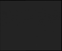 Nástup na běžecké tratě