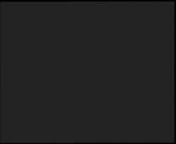 Nástup na běžecké tratě