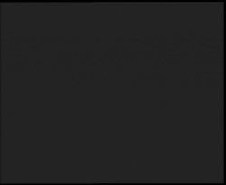 Nástup na běžecké tratě