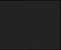 Nástup na běžecké tratě