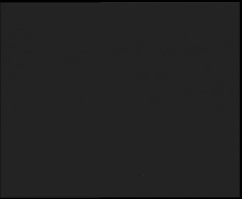 Snímek 13.11.2025 v 01:15