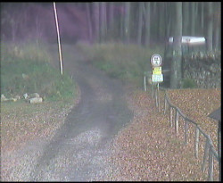 Nástup na běžecké tratě