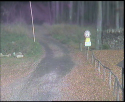 Nástup na běžecké tratě