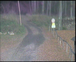 Nástup na běžecké tratě