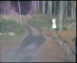 Nástup na běžecké tratě