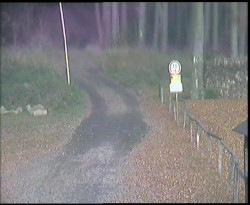 Nástup na běžecké tratě